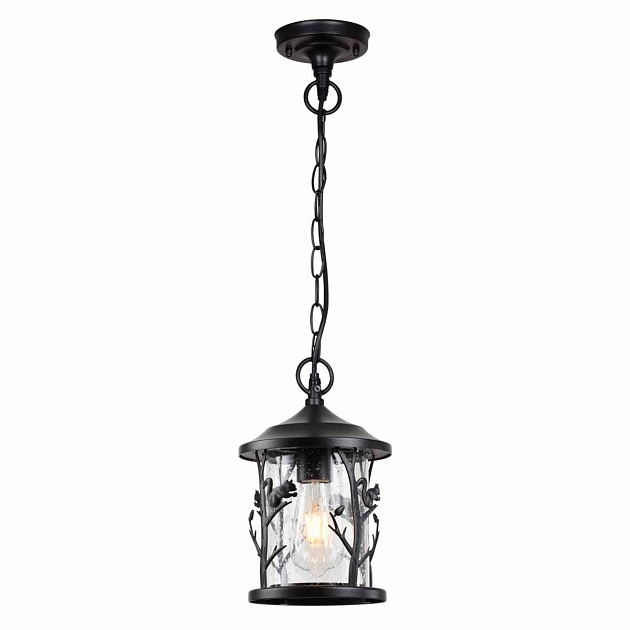 Уличный подвесной светильник Odeon Light Nature Cuita 4963/1 Фото № 3