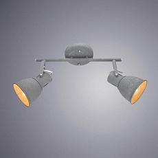 Спот Arte Lamp A1677PL-2GY 1