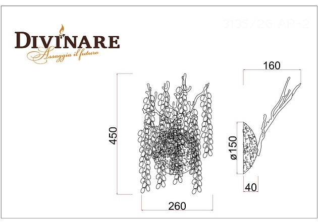 Бра Divinare Salice 3135/26 AP-2 изображение 2 Бра Divinare Salice 3135/26 AP-2 Фото № 2