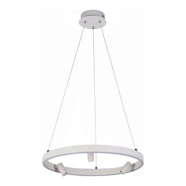 Подвесная светодиодная люстра Reluce 02476-0.4-500 изображение Подвесная светодиодная люстра Reluce 02476-0.4-500 Фото №