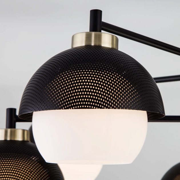 Потолочная люстра Eurosvet 70106/8 черный Фото № 4