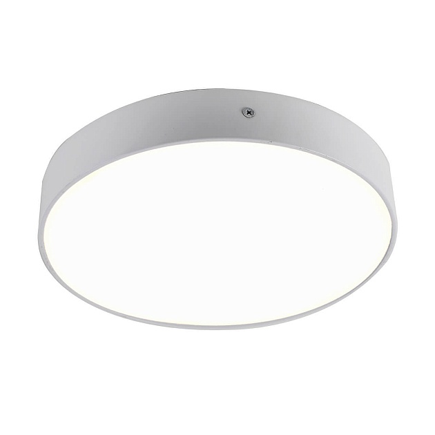 Потолочный светодиодный светильник Favourite Flashled 2065-30C Фото № 