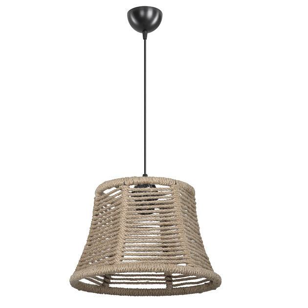 Подвесной светильник Toplight Alethea TL1655H-01NA Фото № 