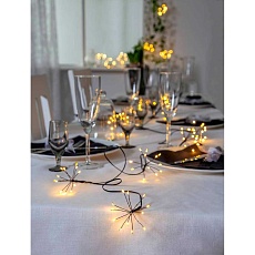 Светодиодная гирлянда Eglo DEW DROP FLOWER 411435 2