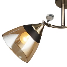 Потолочная люстра Seven Fires Бормио 66368.01.05.02 2