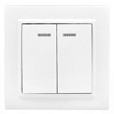 Минск Выключатель 2-клавишный СП с индикатором,10А, белый EKF Basic ERV10-123-10