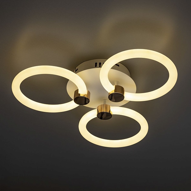 Потолочная светодиодная люстра Ritter Ottimo 51611 2 Фото № 4