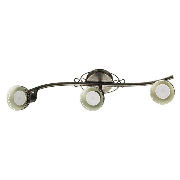 Спот Arte Lamp Focus A5219PL-3BR Фото № 