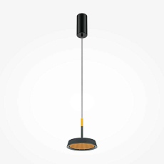 Подвесной светодиодный светильник Maytoni El MOD041PL-L15GB3K 5