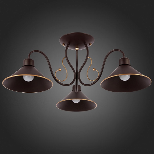 Потолочная люстра Evoluce Ciolla SLE120402-03 изображение 4 Потолочная люстра Evoluce Ciolla SLE120402-03 Фото № 4