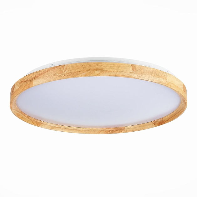 Потолочный сетодиодный светильник Evoluce Delia SLE201382-01 Фото № 