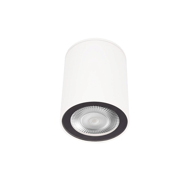 Накладной светильник Loft IT Rush 10344 White Фото № 