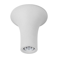 Потолочный светильник Arte Lamp A9461PL-1WH