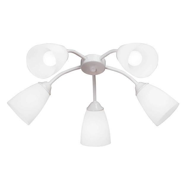 Потолочная люстра Vitaluce V3187-0/5PL Фото № 