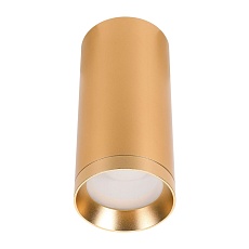 Потолочный светильник Lucia Tucci LTP-C005-01GU10-G