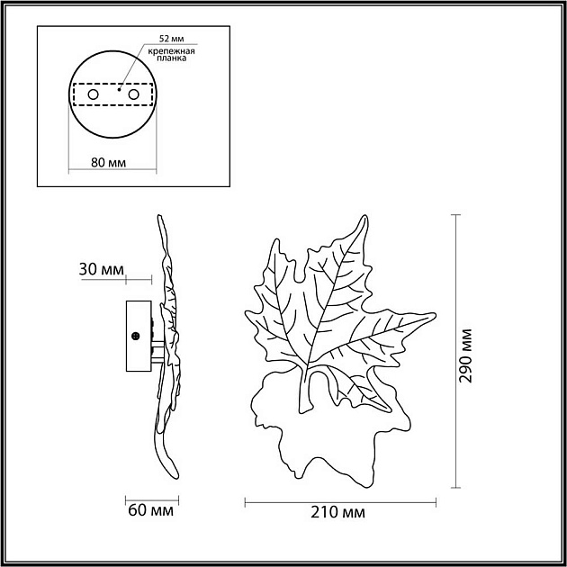 Настенный светодиодный светильник Odeon Light Eva 4371/6WL Фото № 5