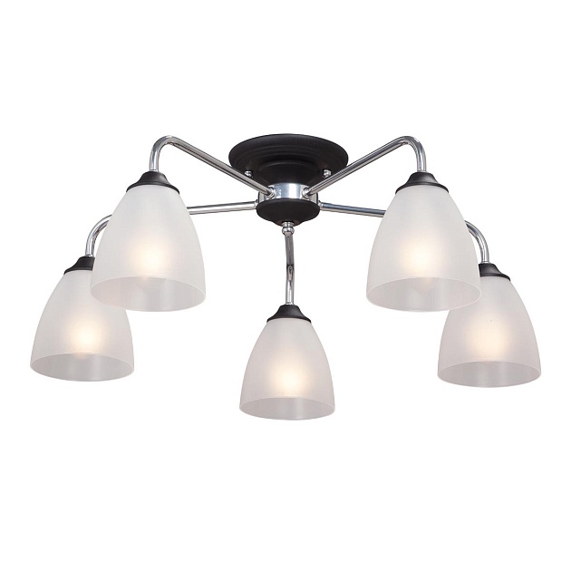 Потолочная люстра Vitaluce V3946-1/5PL Фото № 