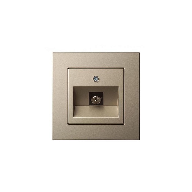 ТВ-розетка оконечная Liregus Epsilon шампань 28-314 изображение ТВ-розетка оконечная Liregus Epsilon шампань 28-314 Фото №