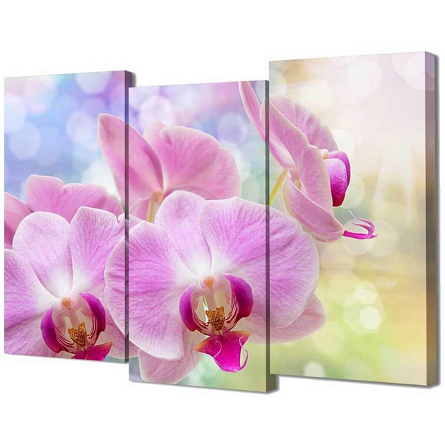 Модульная картинаToplight 100х150х3см TL-M2075 Фото № 