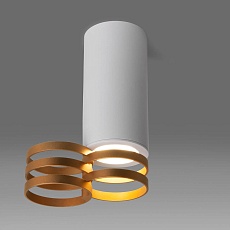 Потолочный светильник Elektrostandard DLN102 GU10 белый/золото a047748 1