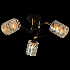 Потолочная люстра Reluce 11313-0.3-03 BK+FGD 4