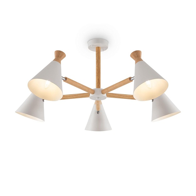 Потолочная люстра Freya Rise FR5169PL-05W изображение Потолочная люстра Freya Rise FR5169PL-05W Фото №