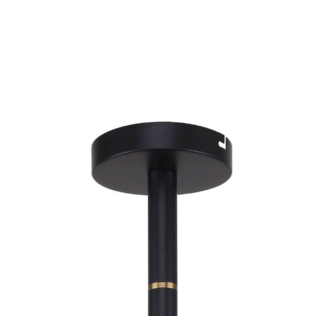 Подвесная люстра Favourite Eternity 2766-12P изображение 3 Подвесная люстра Favourite Eternity 2766-12P Фото № 3