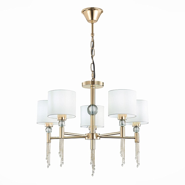 Подвесная люстра Evoluce Primma SLE105153-05 изображение Подвесная люстра Evoluce Primma SLE105153-05 Фото №