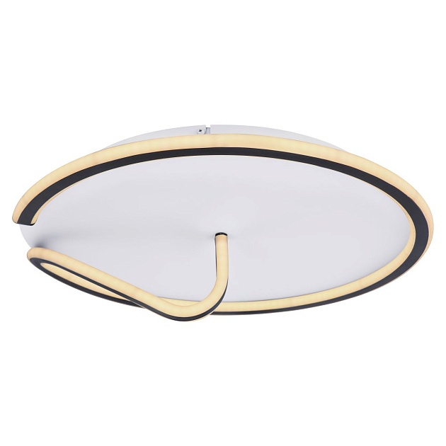 Настенно-потолочный светодиодный светильник Globo Rodan 48439-50 Фото № 