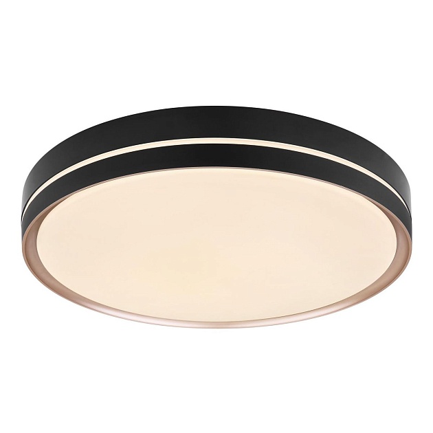 Потолочный светодиодный светильник Globo Manni 41759-40 Фото № 