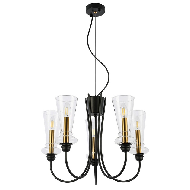 Подвесная люстра Evoluce Rammo SLE112403-05 Фото № 