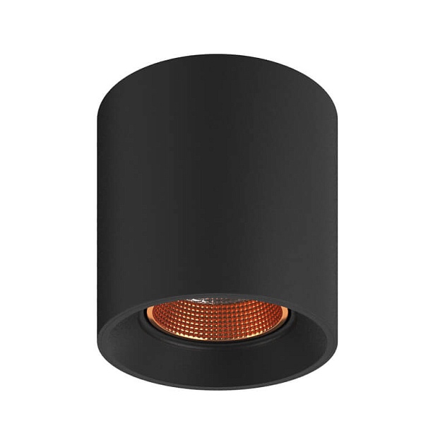 Накладной светильник Denkirs DK3090-BBR Фото № 