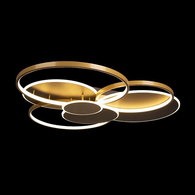 Потолочный светодиодный светильник Loft IT Megan 10163 Black изображение 3 Потолочный светодиодный светильник Loft IT Megan 10163 Black Фото № 3