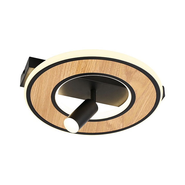 Потолочный светодиодный светильник F-Promo Olika 4438-1C изображение Потолочный светодиодный светильник F-Promo Olika 4438-1C Фото №