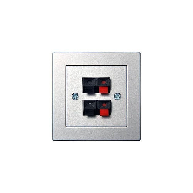 Аудиорозетка двойная Liregus Epsilon серебро 28-1845 изображение Аудиорозетка двойная Liregus Epsilon серебро 28-1845 Фото №