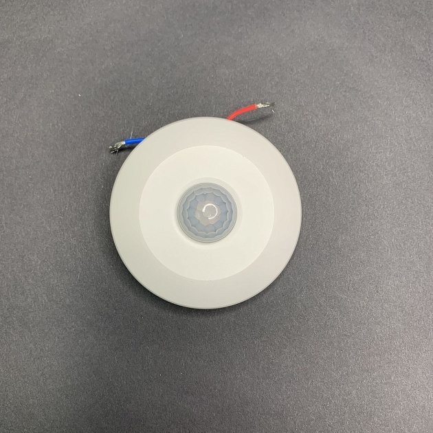 Датчик движения инфракрасный Elvan DD-001 изображение 2 Датчик движения инфракрасный Elvan DD-001 Фото № 2