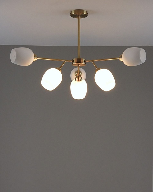 Подвесная люстра Moderli Cassy V10820-6C Фото № 5