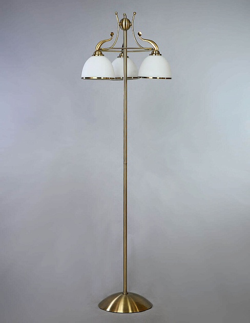 Торшер Brizzi Almeria MA02401F/003 Bronze Фото № 