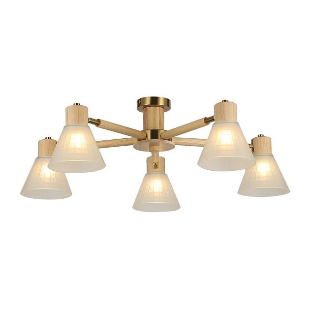 Потолочная люстра Arte Lamp Meleph A4096PL-5BR Фото № 