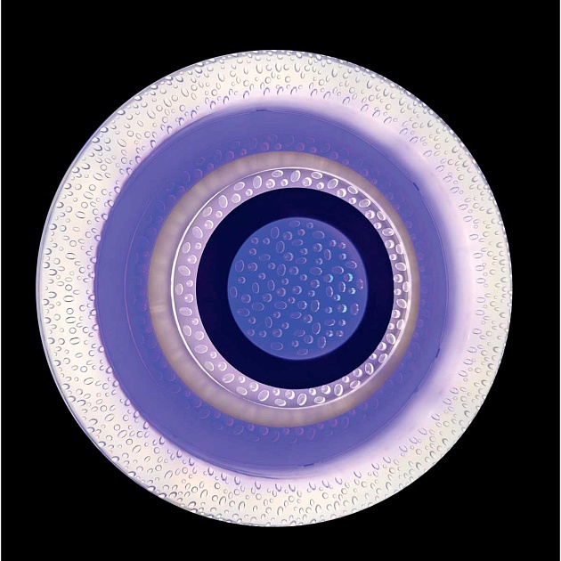 Потолочная светодиодная люстра Camelion LCL-1011 14619 Фото № 3