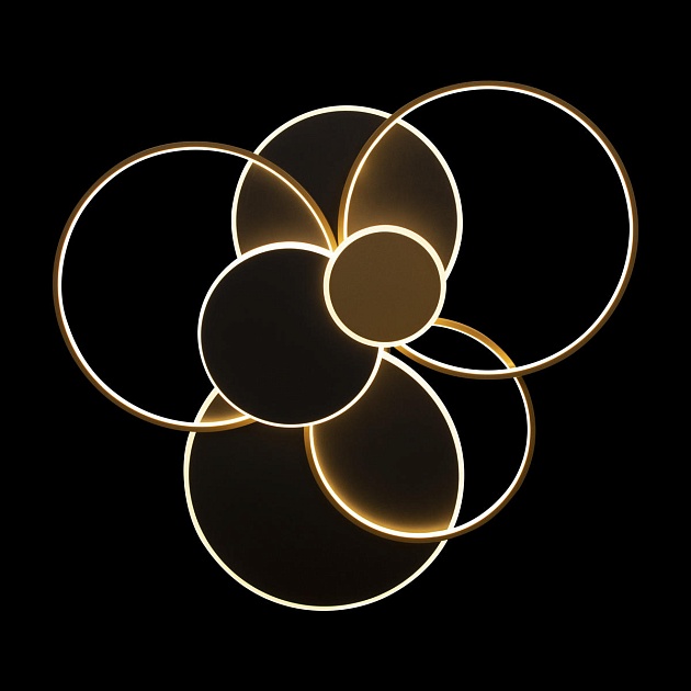 Потолочный светодиодный светильник Loft IT Megan 10163 Black изображение 4 Потолочный светодиодный светильник Loft IT Megan 10163 Black Фото № 4