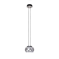 Подвесной светодиодный светильник Favourite Trendig 4376-1P