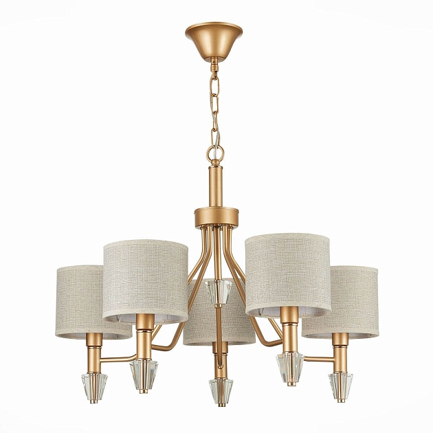 Подвесная люстра Evoluce Vilede SLE107003-05 Фото № 