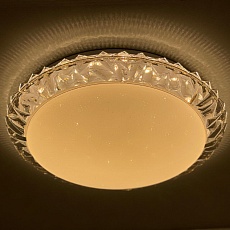 Потолочный светодиодный светильник Profit Light 2076/450 WH+BK RGB 1