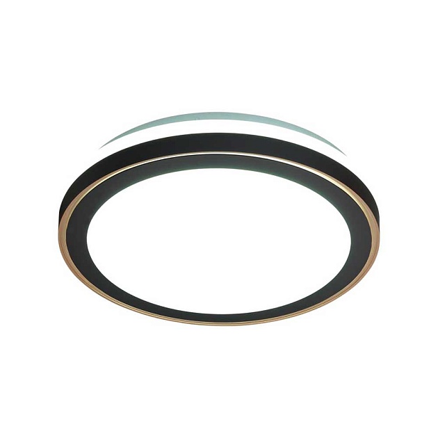 Настенно-потолочный светодиодный светильник Sonex Akuna 7620/DL Фото № 3