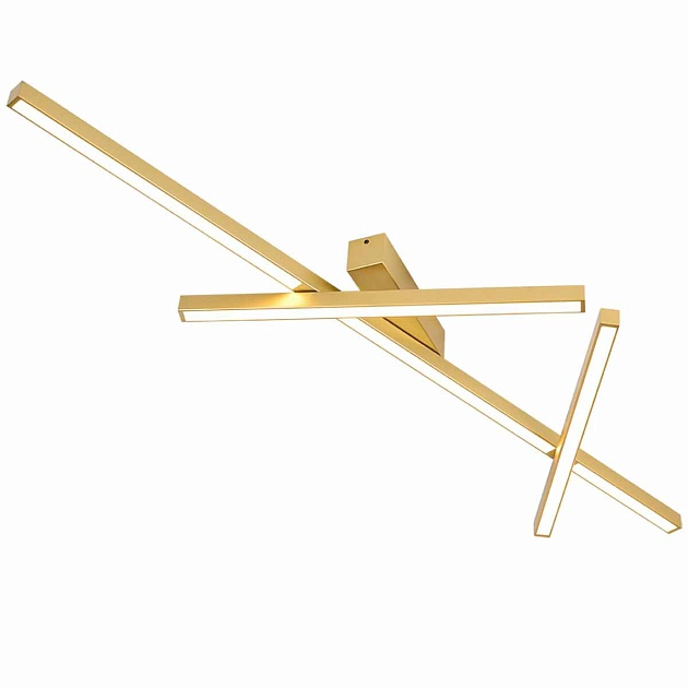 Потолочный светодиодный светильник Odeon Light Tao 4368/50CL Фото № 2