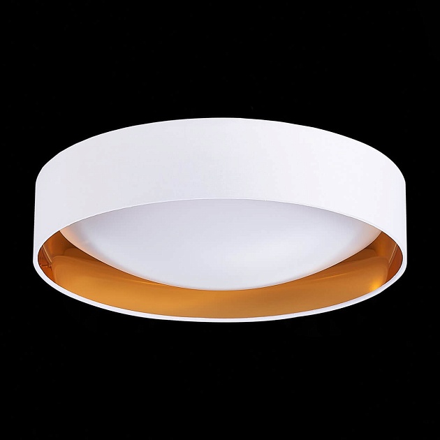 Потолочный светодиодный светильник Evoluce Orbio SLE201122-01 изображение 4 Потолочный светодиодный светильник Evoluce Orbio SLE201122-01 Фото № 4