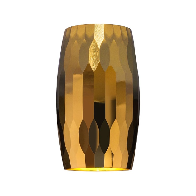 Потолочный светильник Elektrostandard DLN104 GU10 золото a047724 изображение Потолочный светильник Elektrostandard DLN104 GU10 золото a047724 Фото №