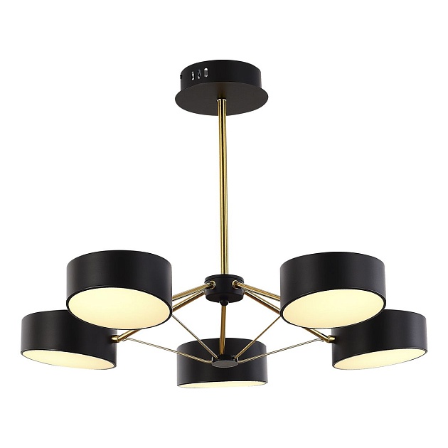 Потолочная светодиодная люстра Evoluce Valle SLE6005-402-05 изображение 4 Потолочная светодиодная люстра Evoluce Valle SLE6005-402-05 Фото № 4