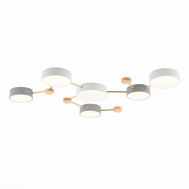 Потолочный светильник Evoluce DOSSENA SLE600102-06 изображение Потолочный светильник Evoluce DOSSENA SLE600102-06 Фото №